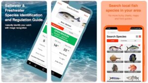 Aplikasi Fish Verify ID and Regulations
